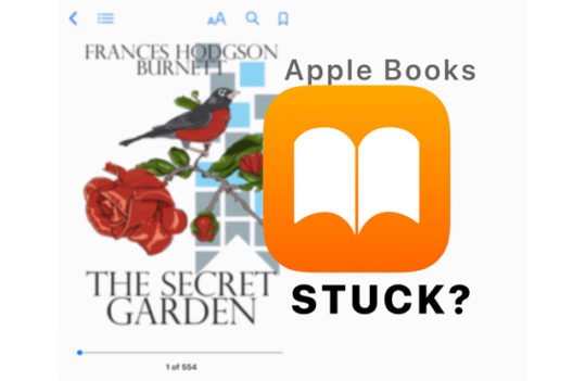 Fix Apple Books or iBooks Stuck Problems on iOS: