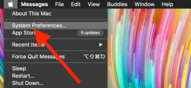 Enable the Light Theme in Mac OS 2019:
